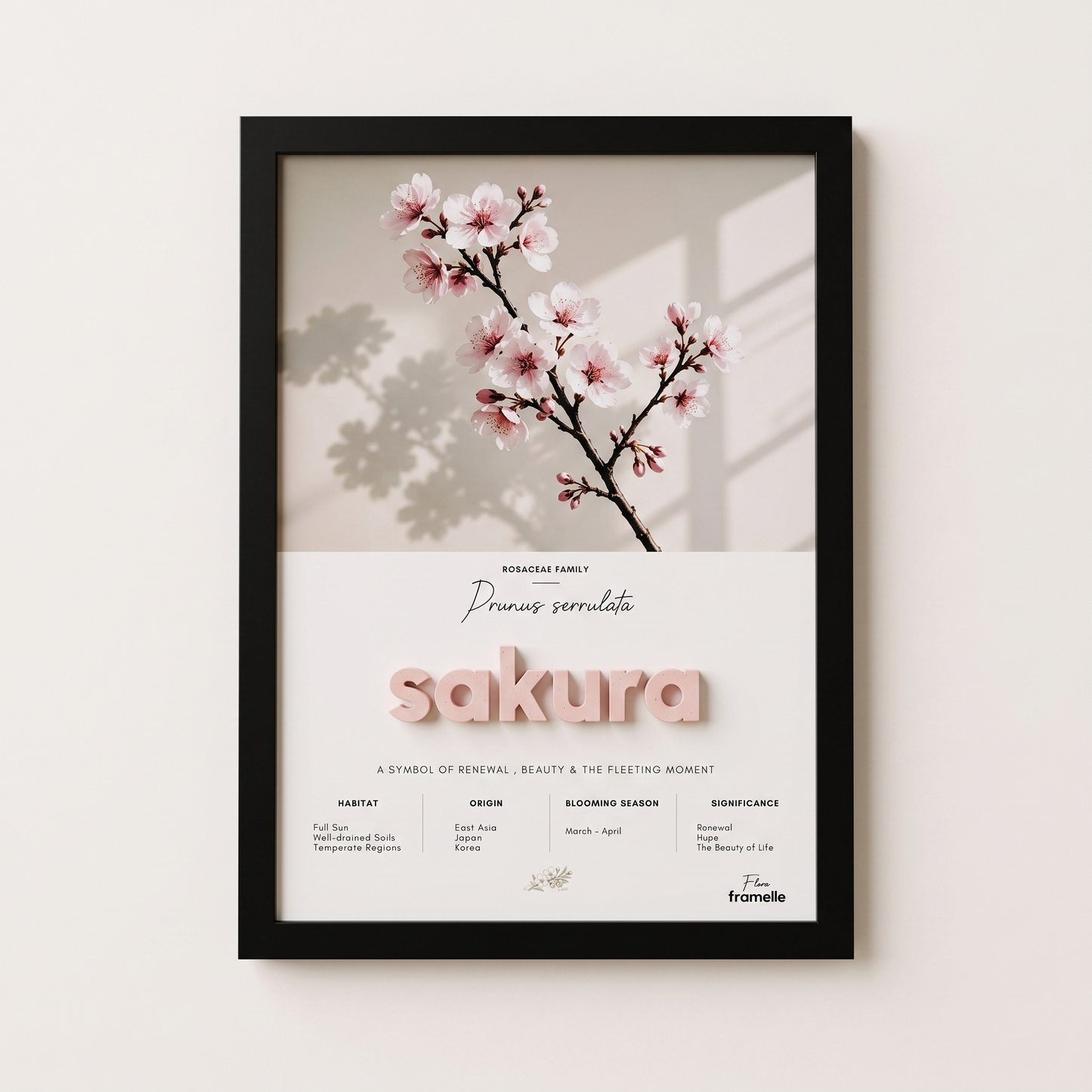 Sakura | 3D Botanik Tablo | Framelle Flora