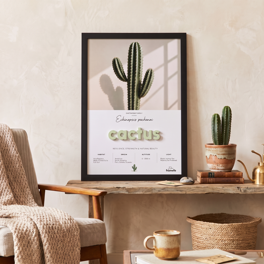 Cactus | 3D Botanik Tablo | Framelle Flora