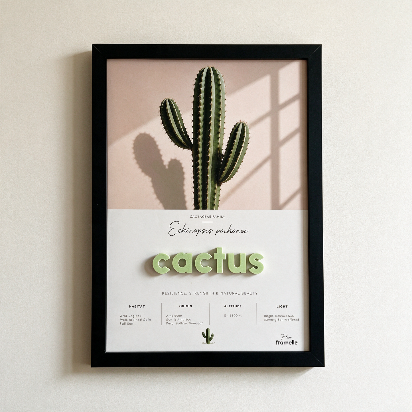 Cactus | 3D Botanik Tablo | Framelle Flora