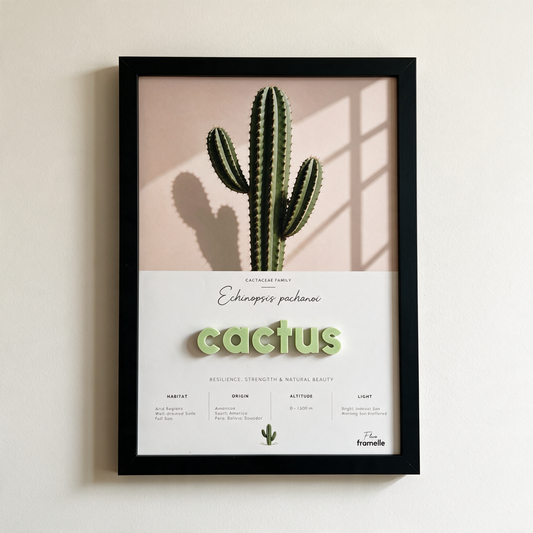 Cactus | 3D Botanik Tablo | Framelle Flora
