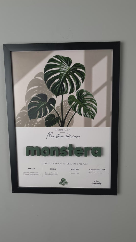 Monstera | 3D Botanik Tablo | Framelle Flora